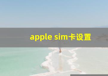 apple sim卡设置